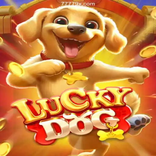 Exploring the Thrills of LuckyDog and 79X.COM ⭐️ A Plataforma de Apostas #1 do Brasil